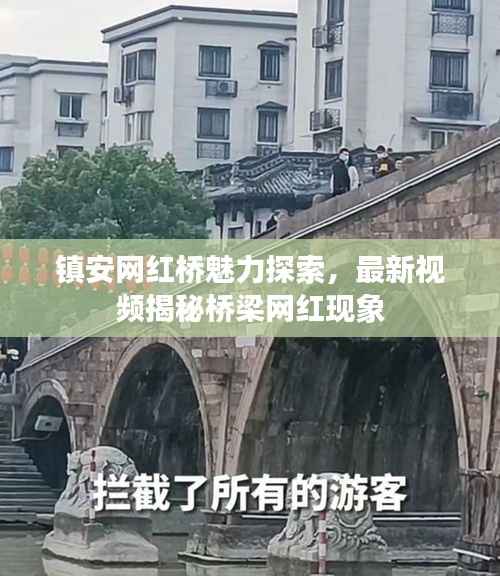 镇安网红桥魅力探索，最新视频揭秘桥梁网红现象