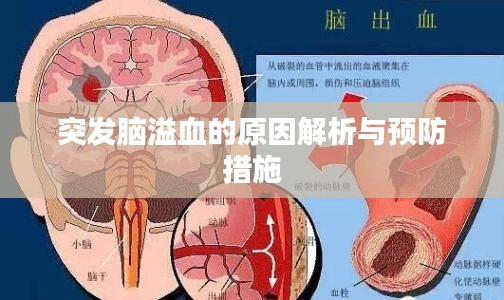 滔滔不绝 第3页