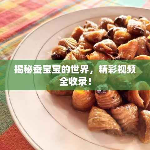 揭秘蚕宝宝的世界,精彩视频全收录!