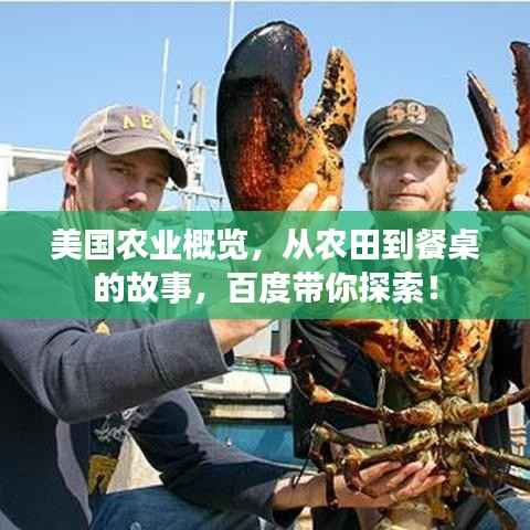 美国农业概览,从农田到餐桌的故事,百度带你探索!