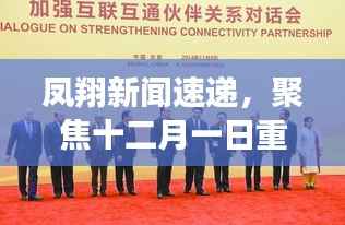 凤翔新闻速递,聚焦十二月一日重要资讯