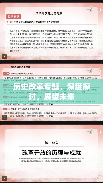 历史改革专题，深度探讨，展望未来