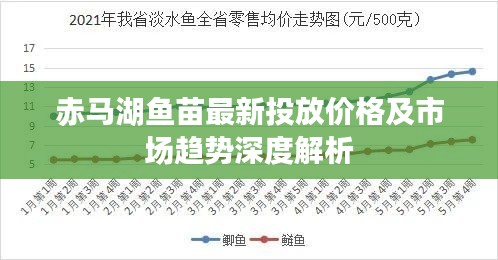 赤马湖鱼苗最新投放价格及市场趋势深度解析