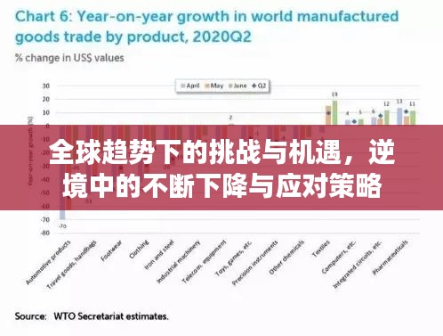 全球趋势下的挑战与机遇，逆境中的不断下降与应对策略