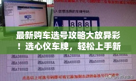 最新购车选号攻略大放异彩!选心仪车牌,轻松上手新车!