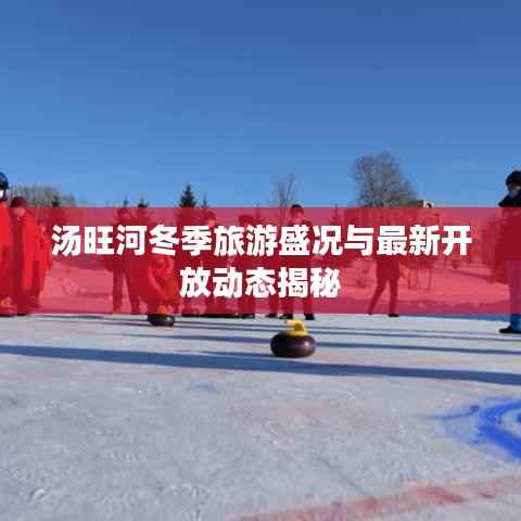 大雪纷飞 第2页