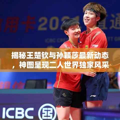 揭秘王楚钦与孙颖莎最新动态，神图呈现二人世界独家风采