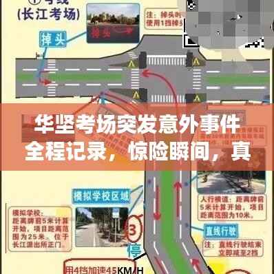 踊贵屦贱 第3页