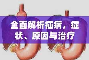 全面解析疝病，症状、原因与治疗策略专题探讨