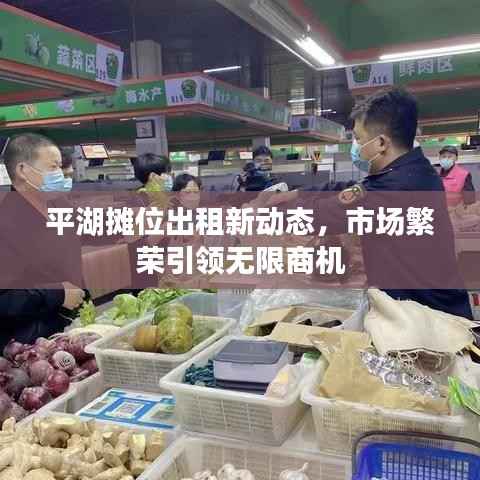 平湖摊位出租新动态,市场繁荣引领无限商机