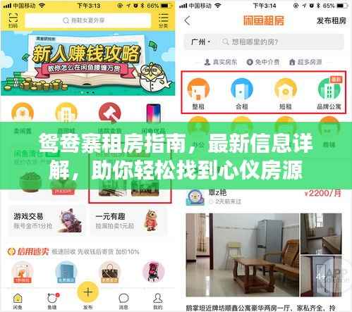 鸳鸯寨租房指南，最新信息详解，助你轻松找到心仪房源