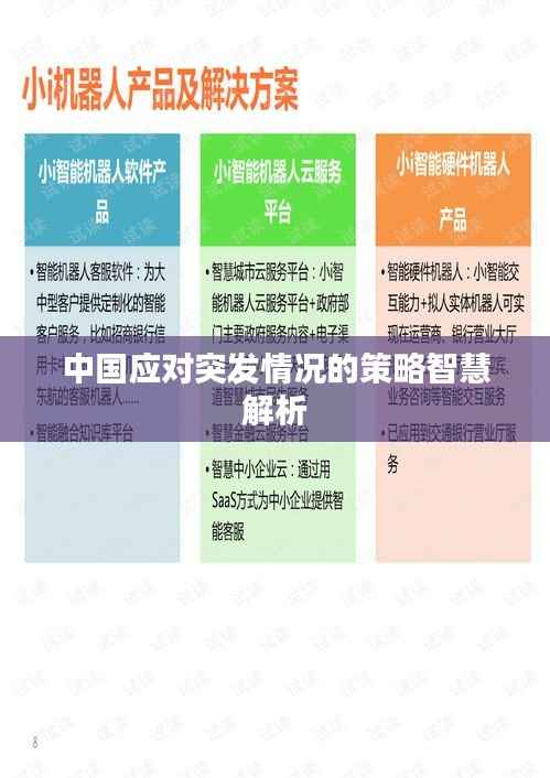 中国应对突发情况的策略智慧解析
