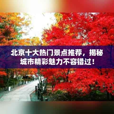 北京十大热门景点推荐,揭秘城市精彩魅力不容错过!