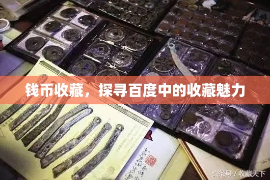 钱币收藏，探寻百度中的收藏魅力