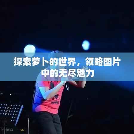 探索萝卜的世界，领略图片中的无尽魅力