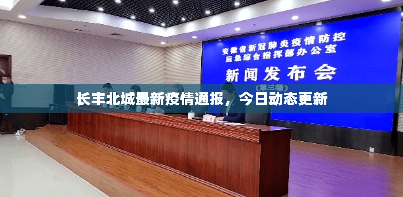 长丰北城最新疫情通报，今日动态更新