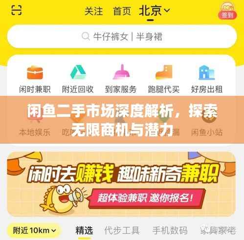 闲鱼二手市场深度解析，探索无限商机与潜力