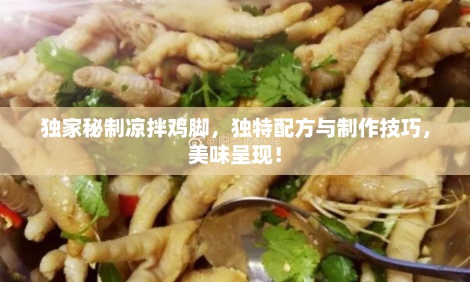 独家秘制凉拌鸡脚，独特配方与制作技巧，美味呈现！